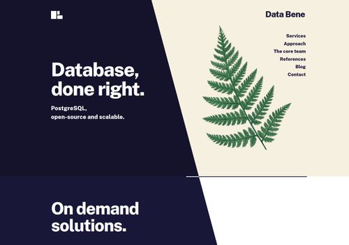 Captura de pantalla del sitio web data-bene.io, tomada desde la zona sobre el pliegue en un ordenador de sobremesa. La sección principal muestra el menú y una ilustración de una hoja de helecho. Título principal: Base de datos bien hecha.